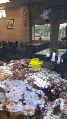 Oriental Express Restaurant