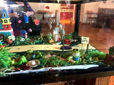 Senor Froggy Restaurant North Kamloops