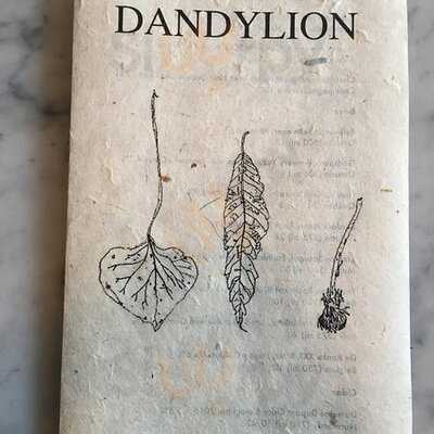 Dandylion