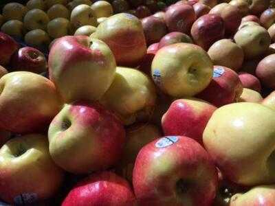 Bruce's Country Market