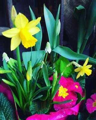 Bruce's Country Market