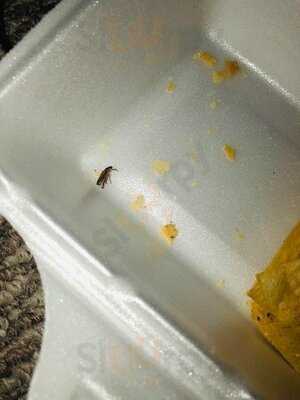 Southside Pizzeria & Co.