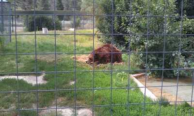 Pineridge Golf Course