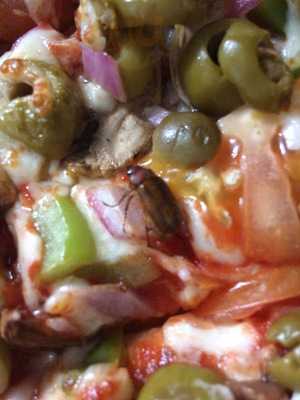 Santa Fe Gourmet Pizza