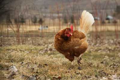 Xuan Mai Coffee & Convenience