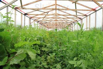 Xuan Mai Coffee & Convenience