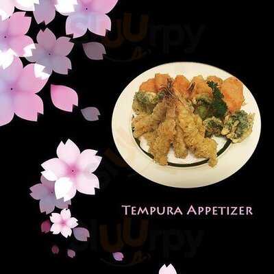 Akita Japanese & Fusion Cuisine