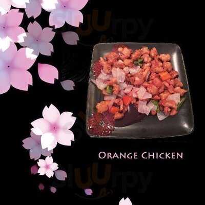 Akita Japanese & Fusion Cuisine