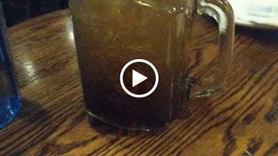 The Barley Mow - Old Ottawa Soutb