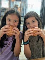 Iconoclast Coffee Roasters