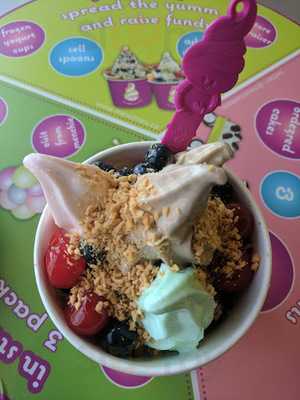 Menchies Frozen Yogurt