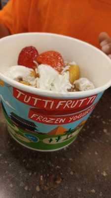 Tutti Frutti Frozen Yogurt