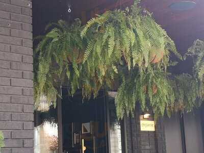 Constantine & Scarlet Door