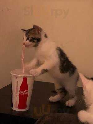 Popeyes Louisiana Kitchen