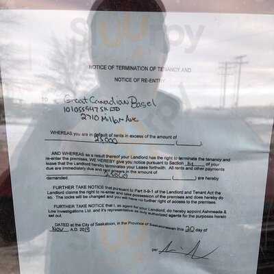 The Great Canadian Bagel