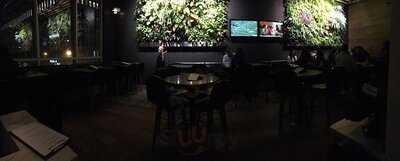 Moxies Grillades Bar