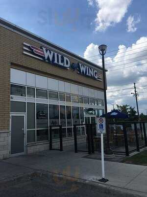 Wild Wings