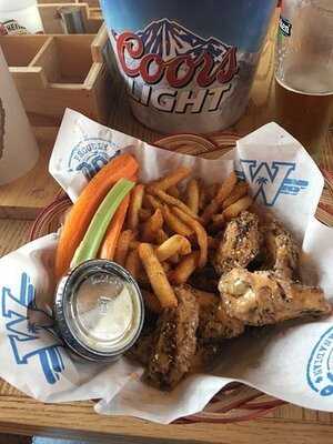 Wild Wings