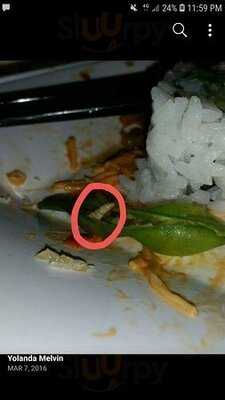 Mc Sushi