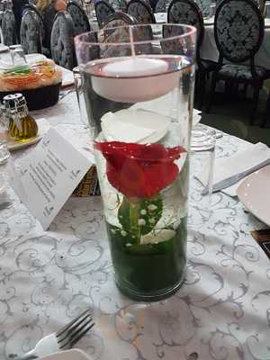 Aliza Shatz Restaurant