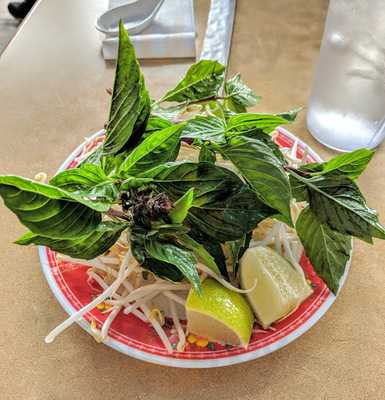 Gold Train Ii Express