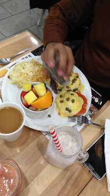 L'oeufrier Sainte-rose