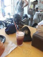 Feline Cafe