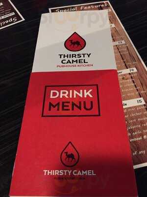 Thirsty Camel