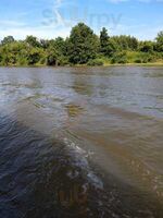 Grand River Dinner Cruises