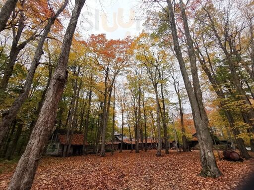 Sucrerie De La Montagne Inc