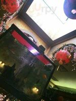 Peace Garden Restaurant