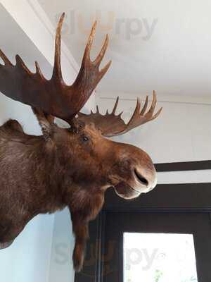 The Painted Turtle Restaurant