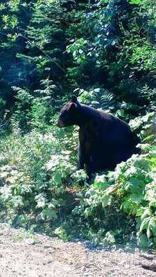 Helmcken Falls Restaurant & Lounge