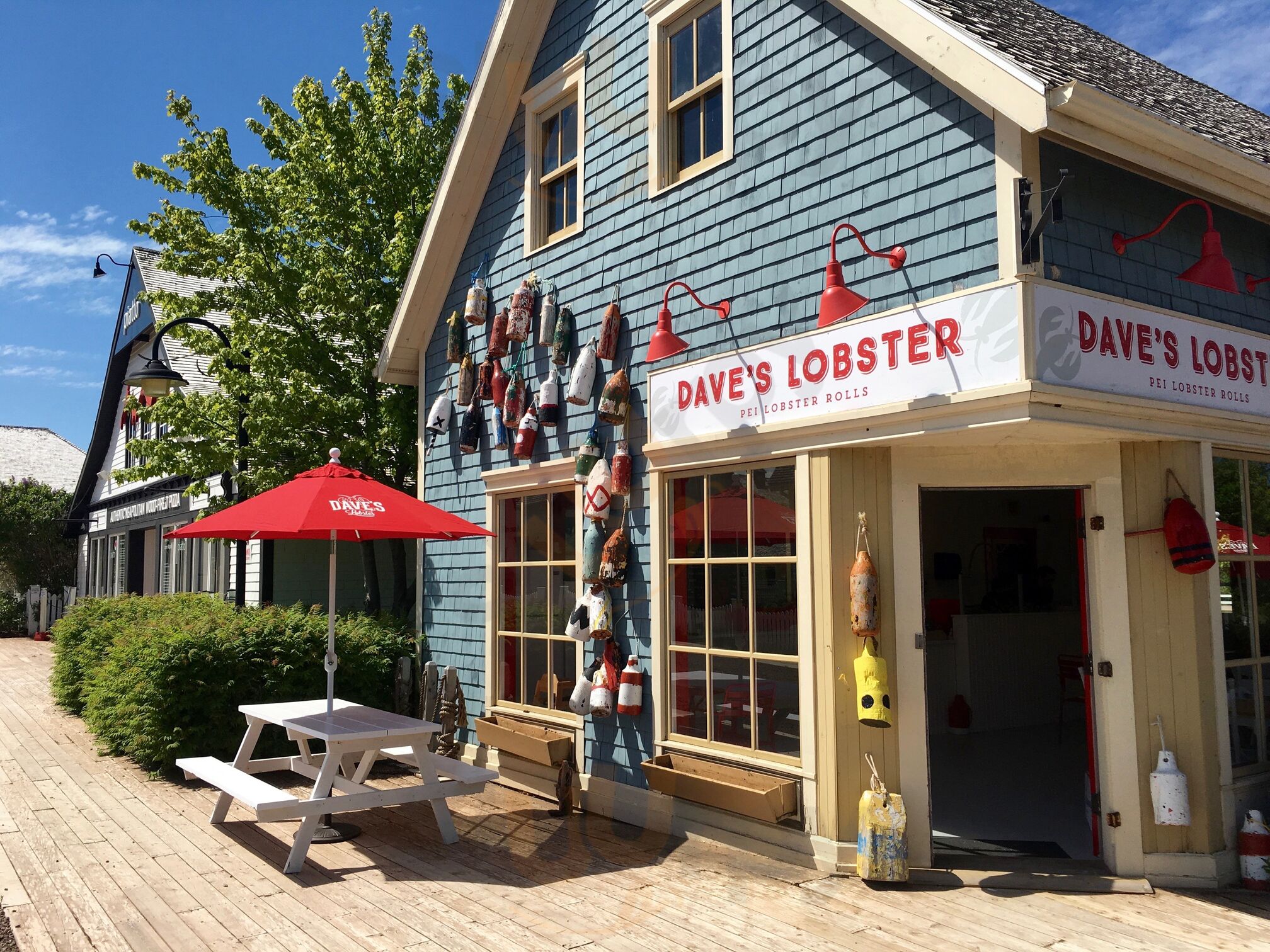 Dave's Lobster Cavendish