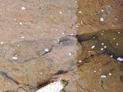 The North Glengarry Restaurant