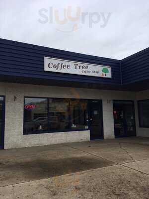 The Coffee Tree