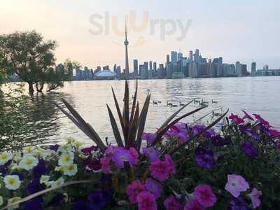 Toronto Island Bbq & Beer