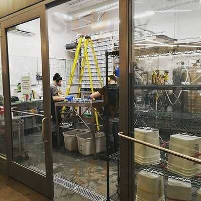 Pilot Coffee Roasters