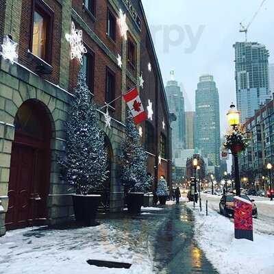 Everyday Gourmet Coffee Roasters