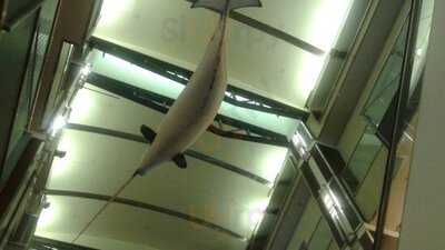 Cheesy Pizza And Pasta