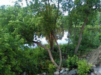 Restaurant L'interlude