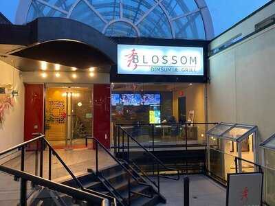 Blossom Dim Sum & Grill