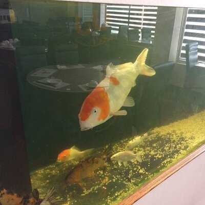 C & S Seafood Restaurant