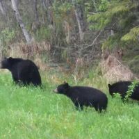 Elkhorn Resort & Conference