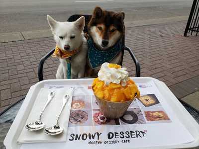 Snowy Dessert