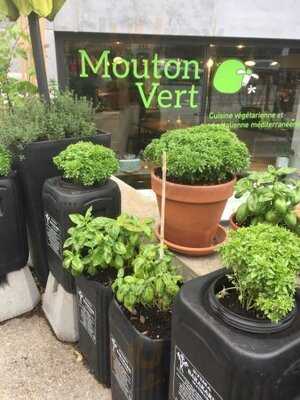 Mouton Vert