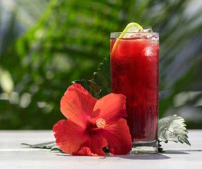 Les Enfants Terribles