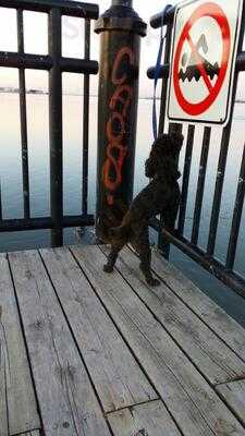 La Belle Thailandaise