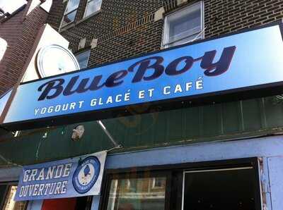 Blueboy Yogourt Glace Et Cafe