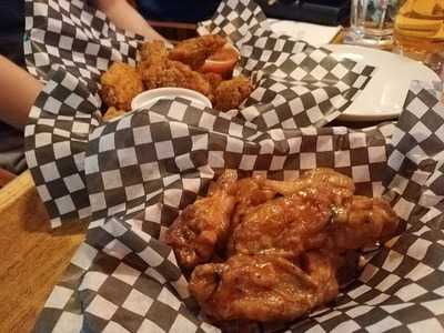 Regal Beagle Macleod